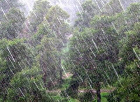 Bu rayonlara yağış, dolu yağdı – Faktiki hava