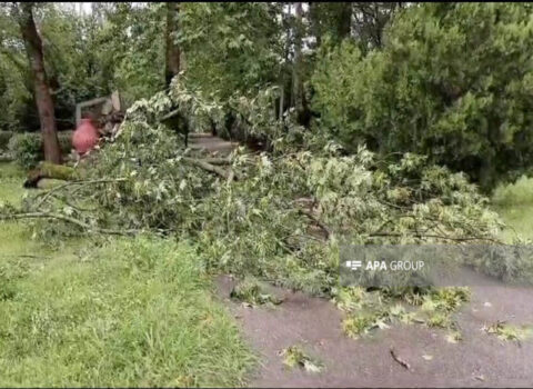 Qəbələdə leysan yağışları güclü fəsadlar törətdi, yollar bağlandı