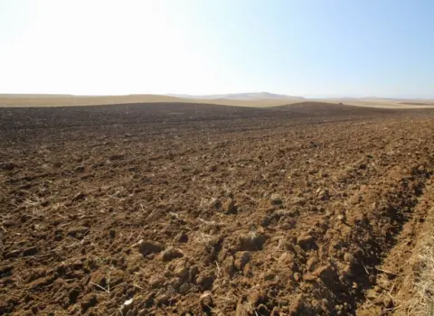 Naxçıvanda bir sıra bələdiyyə torpaqları satışa çıxarılır