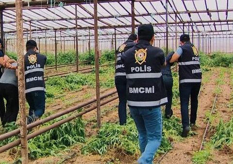 Həyətindən 22 kq narkotik çıxdı