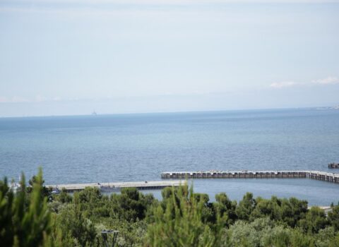 Azərbaycan 3 ölkə ilə “Xəzər-Qara dəniz” beynəlxalq nəqliyyat marşrutu yaradacaq