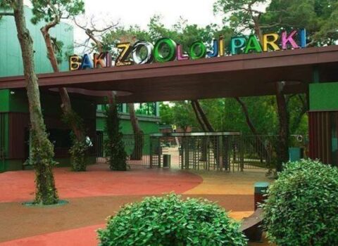 SON DƏQİQƏ! Zooparkda qiymət qaldırıldı – FOTO