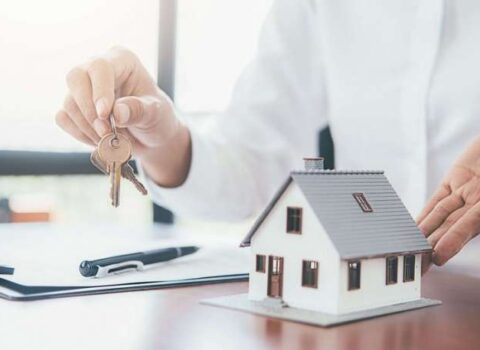 6 ayda 178 minə yaxın əmlaka çıxarış verilib