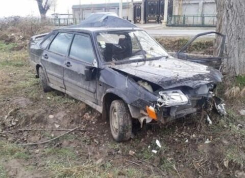 Salyanda avtomobil ağaca çırpılıb – Xəsarət alanlar var