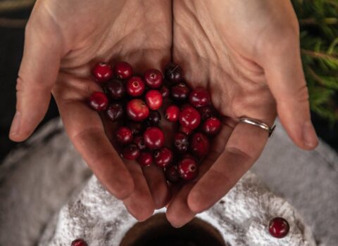 Zoğalın möcüzəvi faydaları