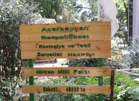 Hirkan Milli Parkında yanğın oldu