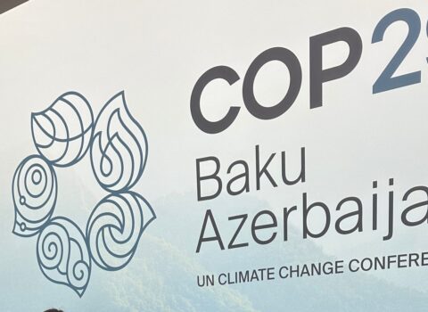 Azərbaycan “yaşıl layihə”lər üçün 500 milyon dollarlıq İqlim İnvestisiya Fondu yarada bilər