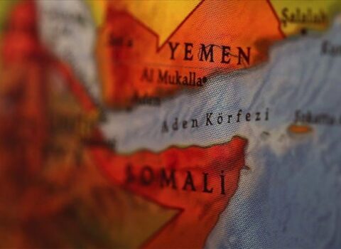 “Reuters”: Türkiyə Afrikadakı böhranı həll etmək üçün hərəkətə keçdi