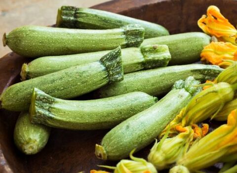 Kabakın bilmədiyiniz FAYDALARI