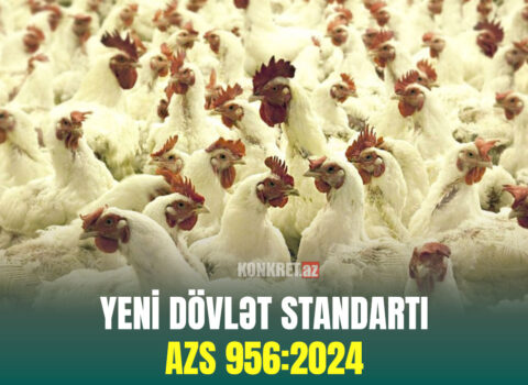 Azərbaycanda yeni dövlət standartı qəbul edildi