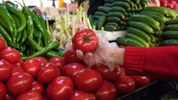 İyul ayında 3 manata pomidor? – Ekspertlər bahalaşmanın səbəblərindən danışır + RƏYLƏR