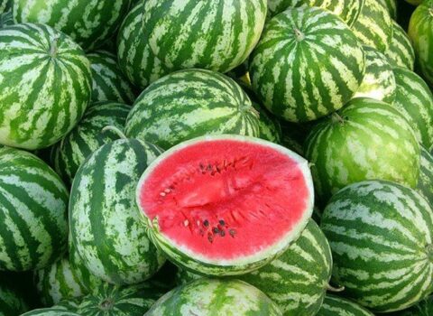 Zəhərli qarpızı necə ayırd edək? – Bu əlamətlər varsa, almayın!