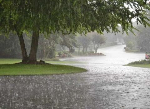 Leysan yağacaq, şimşək çaxacaq – XƏBƏRDARLIQ