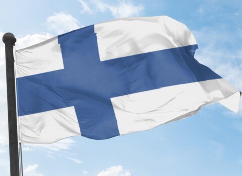 Norveç Finlandiyaya qoşun göndərməyi planlaşdırır