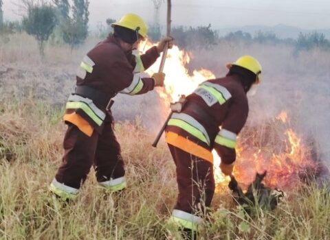Naxçıvanda yenidən yanğınlar oldu