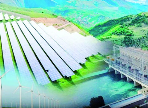 Azərbaycan “yaşıl ev”ə necə çevrilir? – ARAŞDIRMA