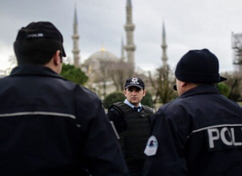 Türkiyədə meşə yanğınlarında şübhəli bilinən yeddi nəfər saxlanıldı