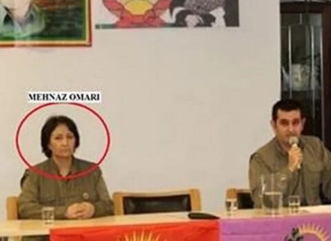 İstanbulda PKK/KCK terror qruplaşmasının rəhbərlərindən biri saxlanıldı