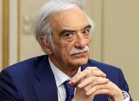 Polad Bülbüloğlu Azərbaycana qayıtdı, səlahiyyətlərinin icrasını dayandırdı