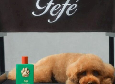 “Dolce&Gabbana” itlər üçün ətir buraxdı