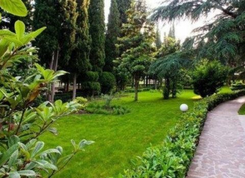 Azərbaycanda “Yaşıllıqların götürülməsi Qaydası” DƏYİŞDİ