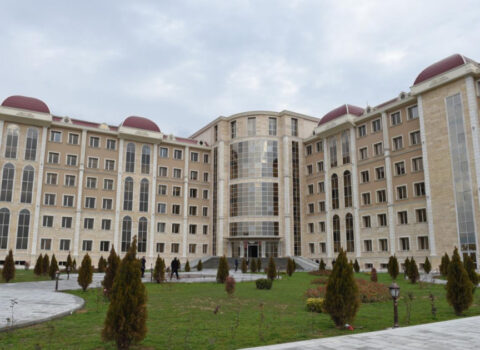 Naxçıvandakı tibb müəssisələri ilə bağlı yeni QƏRAR