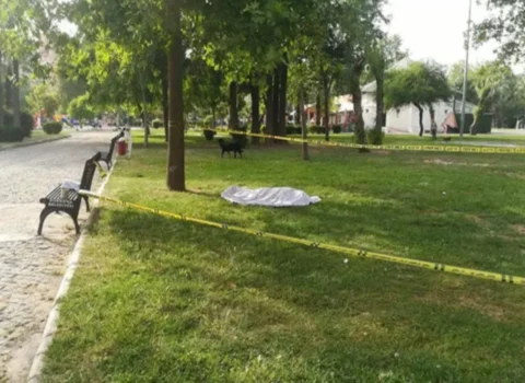 Bakıda parkdan meyit TAPILDI