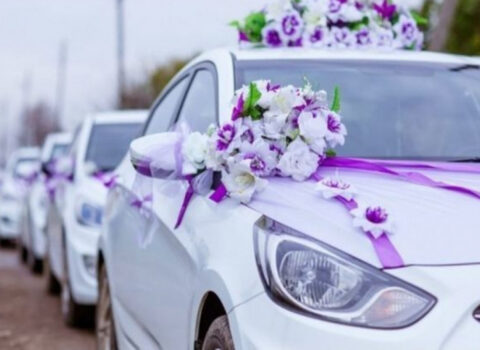 DYP toy karvanları ilə bağlı xəbərdarlıq etdi