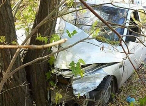 Oğuzda avtomobil ağaca çırpıldı, xəsarət alan var