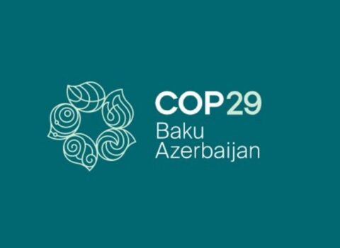 Dünyanı xilas etmək mümkündürmü? – COP-dan gözləntilər