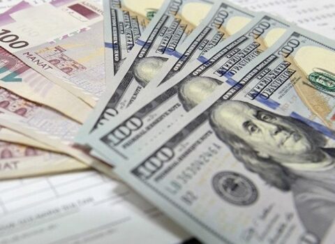 Dollar təşvişi: Rəsmi qurumların susqunluğu şübhələri artırır