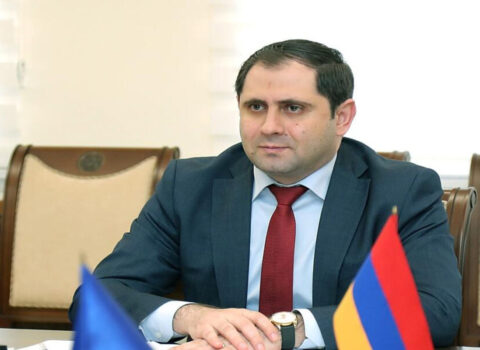 Ermənistan müdafiə naziri Gürcüstana rəsmi səfər etdi