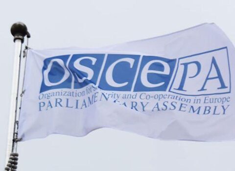 ATƏT PA missiyası Gürcüstandakı seçkilər barədə açıqlama YAYDI