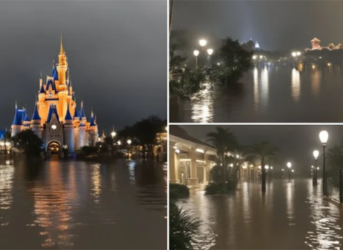 “Disneyland”in ərazisini su basdı