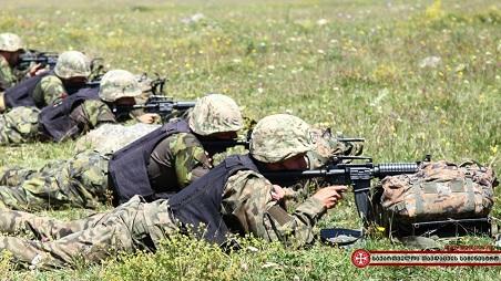 Gürcüstan ordusunda dəyişiklik ediləcəkmi?