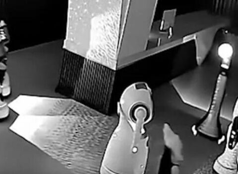 Çində maraqlı hadisə: Balaca robot 12 iri ölçülü robotu qaçırıb