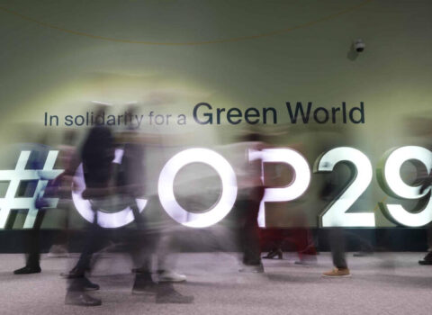 COP29 ərəfəsində ən çox hücum bu saytlara olub