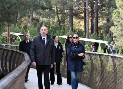 Prezident Mərkəzi Nəbatat Bağının açılışında iştirak edib