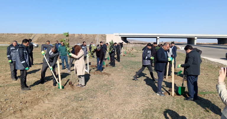 Füzulidə Zəfər bayramı ağacəkmə aksiyası ilə başladı – FOTO