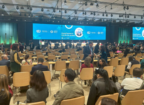 COP29-un bağlanış plenar iclası keçirilir – CANLI