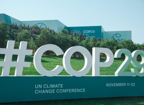 COP29-da Paris Sazişinin 6-cı maddəsinin tam icrasına nail olundu