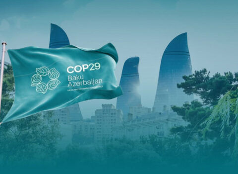 COP29-da qeydiyyatdan keçmiş iştirakçıların sayı məlum oldu