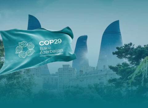 COP29 konfransının proqramı rəsmi vebsaytda yerləşdirildi