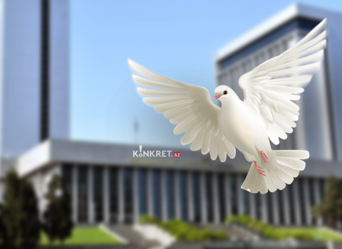 Deputatın “göyərçin dərdi” – Cərimə üstünə cərimə