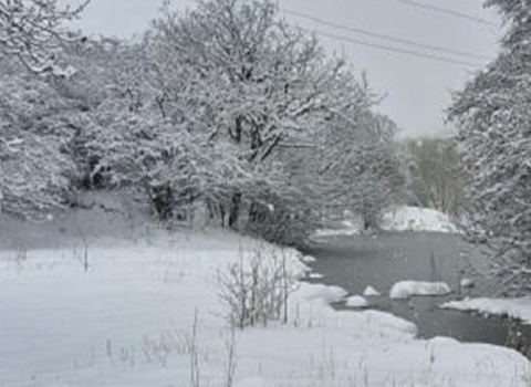 Batabat yaylağına intensiv qar yağır – VİDEO