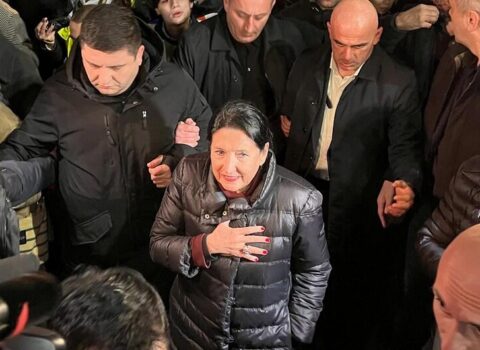 Gürcüstan Prezidenti Tbilisidə aksiyaçılara qoşuldu – FOTO
