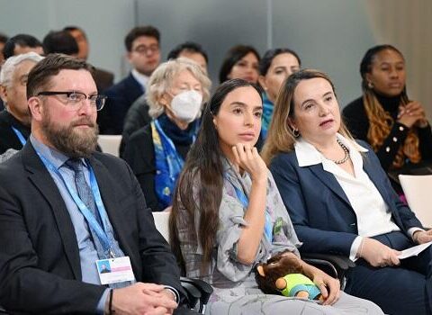 Leyla Əliyeva daha bir panel müzakirəsində