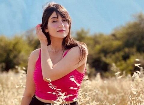 Hicabsız konsert verdi, cinayət işi açıldı