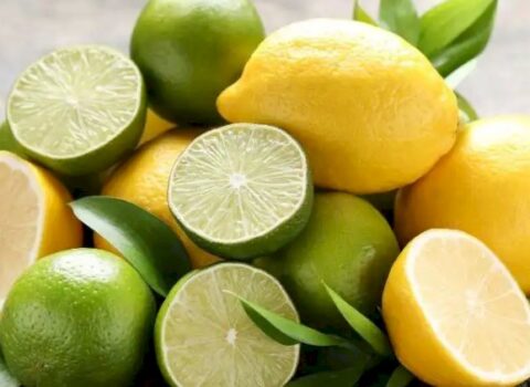 Laym yoxsa limon: Hansı daha faydalıdır?