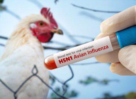 Luiziana ştatında H5N1 quş qripindən ilk insan ölümü qeydə alınıb